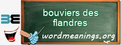 WordMeaning blackboard for bouviers des flandres